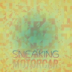 Sneaking Motorcar