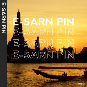 E-sarn pin