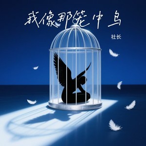 我像那笼中鸟