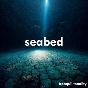 Seabed