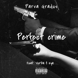 Perfect crime (feat. VorDa & 5ya) [Explicit]