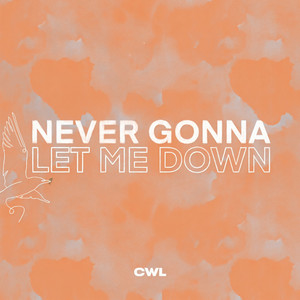 Never Gonna Let Me Down(feat. John Wilds & Larue Howard)