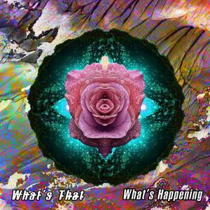 What's Happening (Radio Mix)