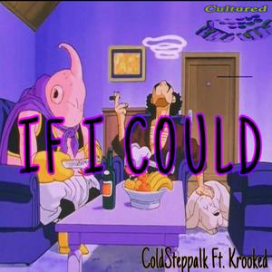 If I Could (feat. Krooked) [Explicit]