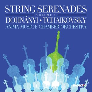 Serenade in C Major, Op. 10 (Arr. D. Sitkovetsky) - Serenade in C Major, Op. 10 (Arr. D. Sitkovetsky): III. Scherzo. Vivace