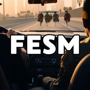 FESM (Explicit)