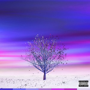 Fall in Place (Explicit)