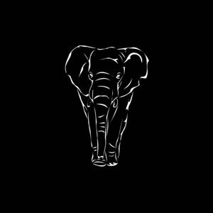 Tell Em' All About It