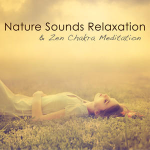 Nature Sounds Relaxation & Zen Chakra Meditation – Relaxtion Meditation Music, Relaxing Music for Sleep, Deep Relaxation, Massage Therapy, Spa, Self Care & Yoga