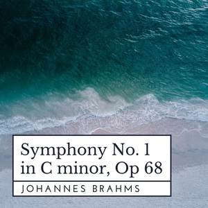 Symphony No. 1 in C Minor, Op. 68 - II. Andante sostenuto