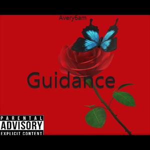 Guidance (Explicit)