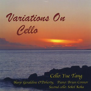 Variations On One String(feat. Geraldine O'Doherty)