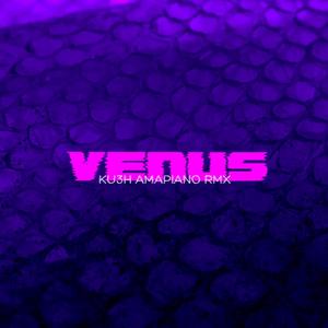Dj Kush - Venus (feat. Facelēss & Serotǒnin) (Amapiano Remix)