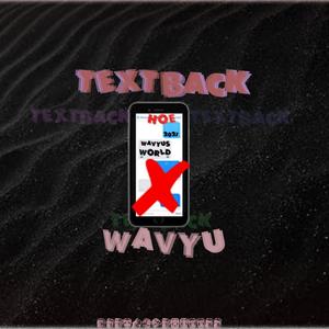 Text Back (Explicit)