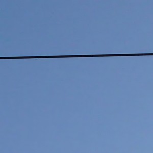 Lamana