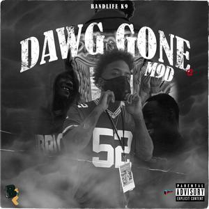Dawg **** (Explicit)