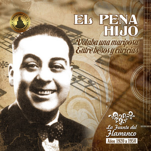 Ni me Tires Valentía (Fandanguillo de la copla andaluza)
