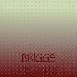 Briggs Permits