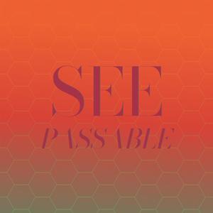 See Passable