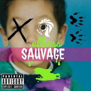 SAUVAGE (Explicit)