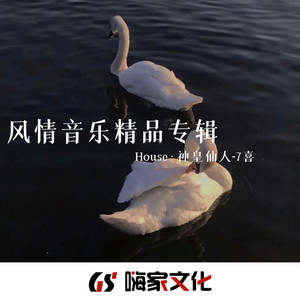 风情音乐精品专辑