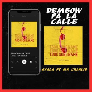 DEMBOW PA LA CALLE (feat. MR CHARLIE)