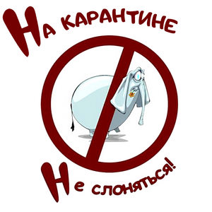 На карантине - не слоняться! (Explicit)