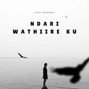 Ndari wathiire ku