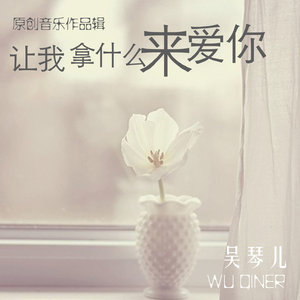 让我拿什么来爱你