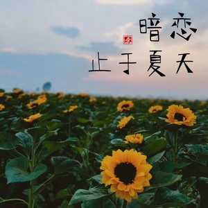 暗恋，止于夏天