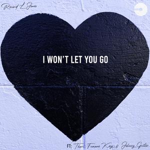 I Won't Let You Go (feat. Thori, Fumane Keys & Johnny Guitar)