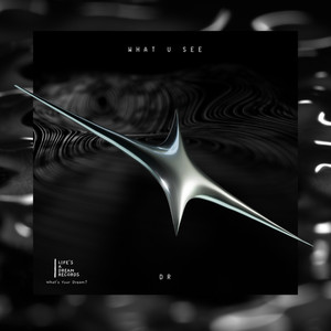 DR - WHAT U SEE (Explicit)