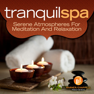 Tranquil Spa: Serene Atmospheres for Meditation and Relaxation