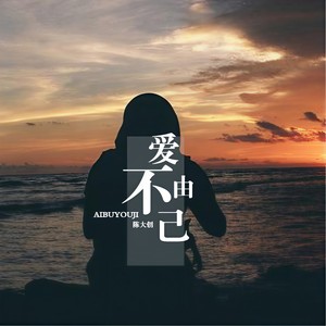 昨夜梦见了你封面