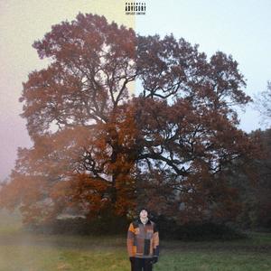 Acide (feat. Le $hepherd, ReY. & Cisio.) (Explicit)