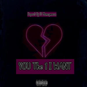 You the one i want (feat. Moneymaxx) [Explicit]