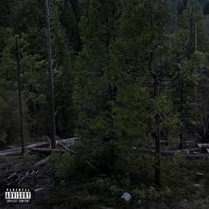 THE HILLZ (feat. boipity) [Explicit]