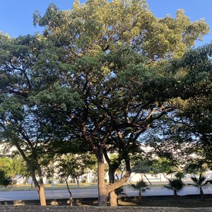 I Wnt 2 Ddie (Explicit)