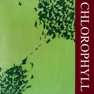 Chlorophyll