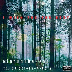 I Wish You the Best (feat. DJ Stroke-A-Cola) (Explicit)