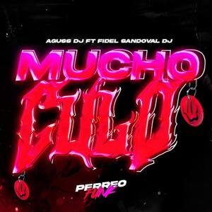 MUCHO CULO PERREO FUNK (AGUSS DJ & Fidel Sandoval dj Remix)