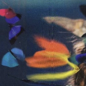 Faded Light (梦该醒了0·9x)