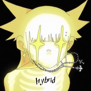 Hybrid