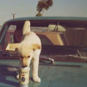 it was beautiful (Explicit)