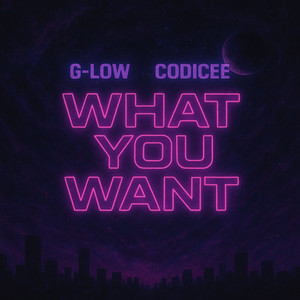 What You Want (Explicit)