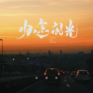 归途的光 (粤语版)