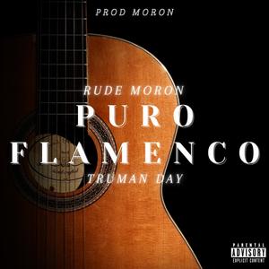 Puro Flamenco (feat. Truman Day) [Explicit]