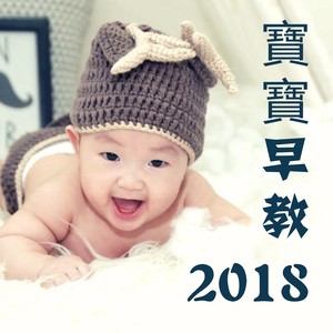 大脑发展