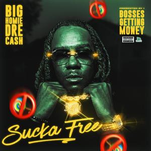 Sucka Free (Explicit)