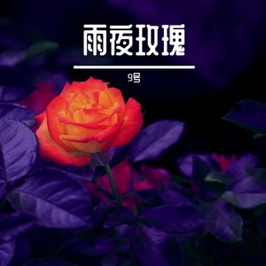 雨夜玫瑰